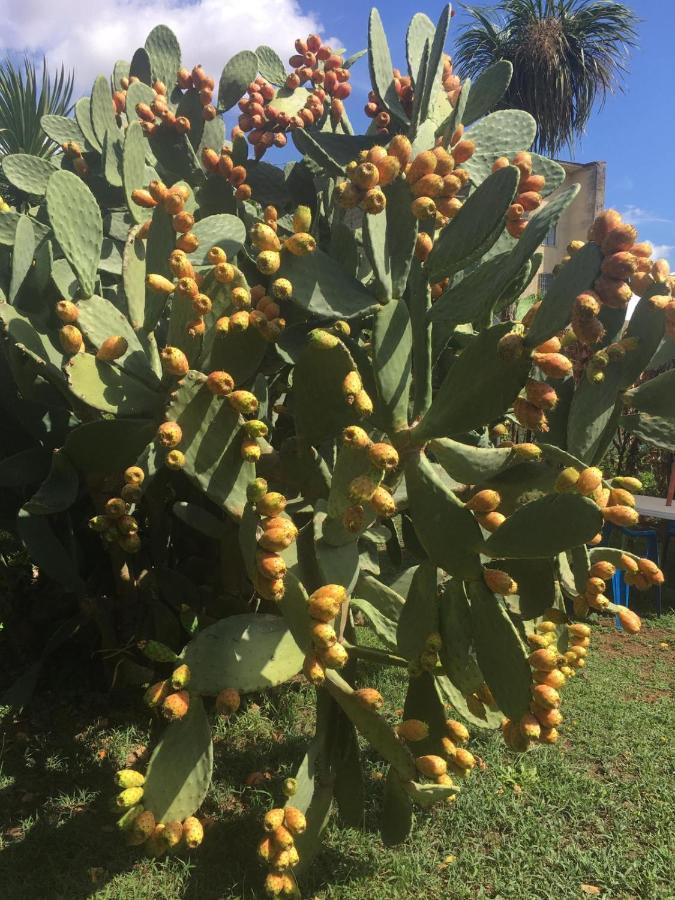 Il Giardino Degli Agrumi Caserta Exteriör bild