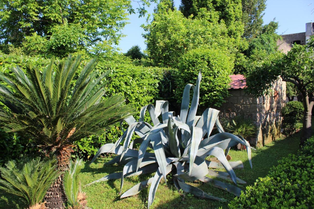 Il Giardino Degli Agrumi Caserta Exteriör bild
