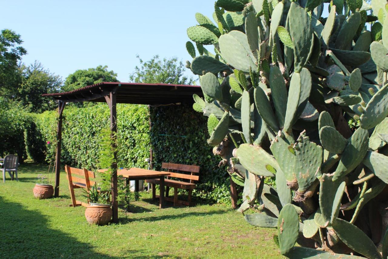 Il Giardino Degli Agrumi Caserta Exteriör bild
