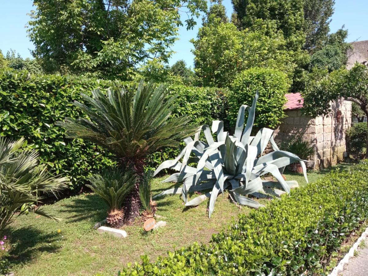 Il Giardino Degli Agrumi Caserta Exteriör bild