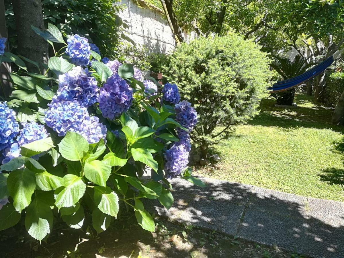Il Giardino Degli Agrumi Caserta Exteriör bild