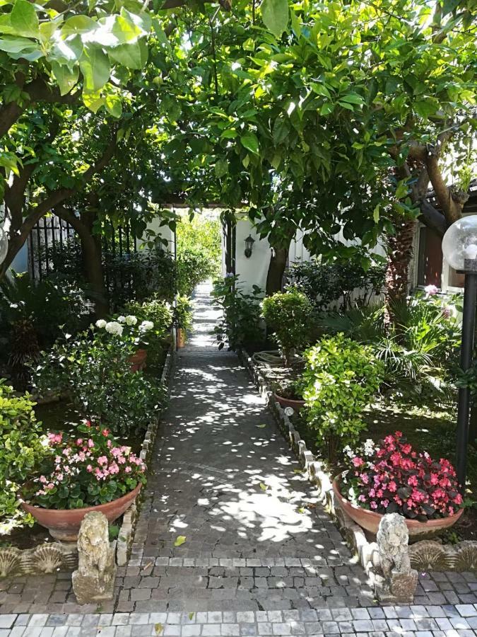 Il Giardino Degli Agrumi Caserta Exteriör bild