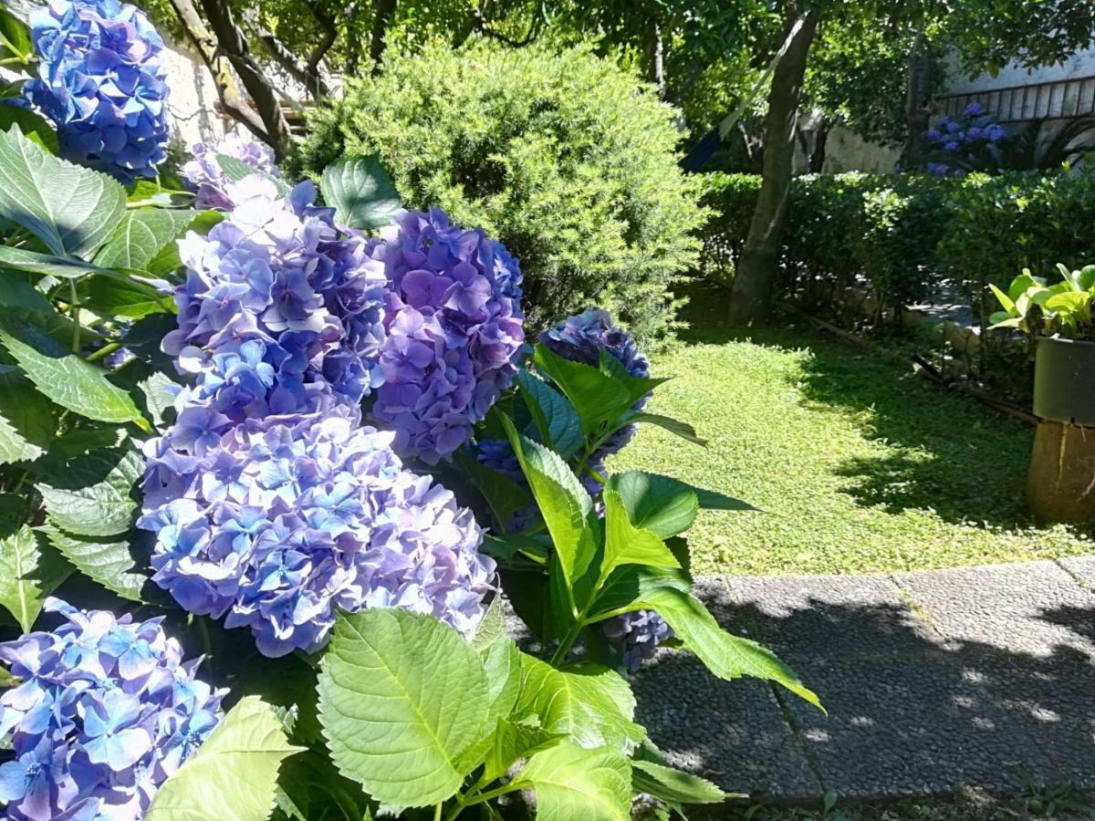 Il Giardino Degli Agrumi Caserta Exteriör bild